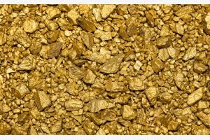 Золото Камчатки